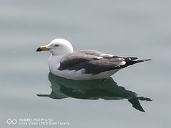 -大连圣亚海洋世界