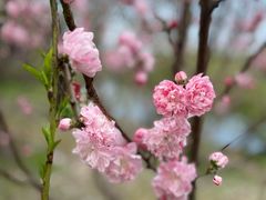 -桃源居(蠡园店)