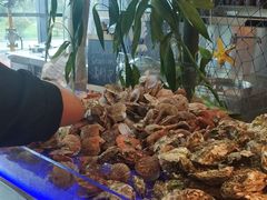 -青岛青龙美爵酒店·阳光海岸西餐厅