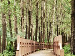 -百里山水画廊