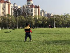 -艾溪湖湿地公园