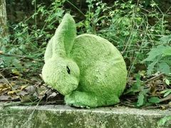-藏龙百瀑漂流