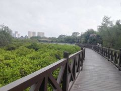 -大亚湾红树林城市湿地公园
