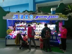 -泉城欧乐堡海洋极地世界