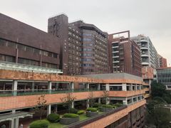 -香港大学