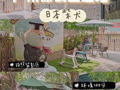 -柴犬高等学院·狗咖·柴犬售卖·宠物训练