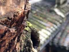 -鱼桥巷·美学川菜