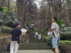 -铁山坪森林公园