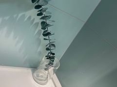 -UP阿噗甜品