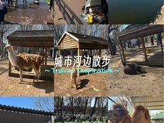 -长白岛森林公园