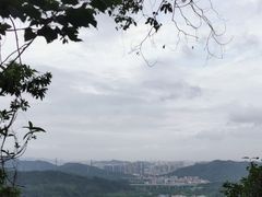 -梧桐山风景名胜区