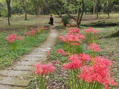 -杭州植物园