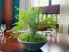 -山壹竹庭院餐厅