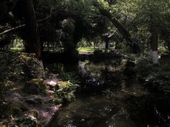 -桂湖森林公园