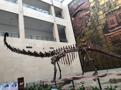 -衢州市博物馆