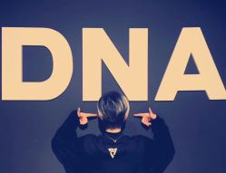 -DNA舞室