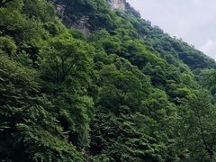 -青峰峡国家森林公园