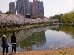 -堤角公园