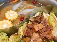 -手选潮汕鲜活牛肉火锅(二七广场店)