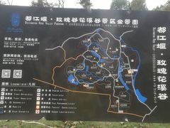 -都江堰玫瑰花溪谷