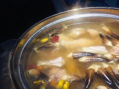 -千岛蚝高压锅生蚝·人参火锅(白云万达店)