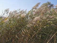 -青龙湖公园