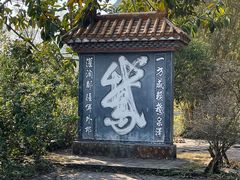 -靖西鹅泉风景区
