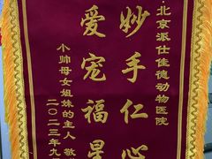 -北京派仕佳德动物医院·超导核磁·CT·神经科·骨科·内外科·急重症管理中心