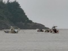 -渔寮风景区