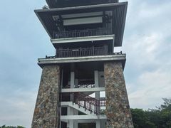 -大湾区中央湿地公园