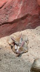 -Zoolung Zoolung动物主题公园(海信广场店)