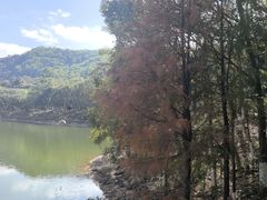 -凤岗南门山森林公园