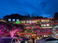 -枇杷园食为鲜火锅(南山店)