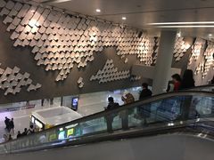 -金鹏航空有限责任公司(祝潘公路店)