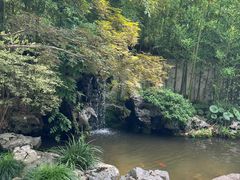 -上海醉白池公园