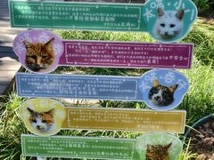 -北京市劳动人民文化宫(太庙)