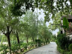 -八大山人梅湖景区