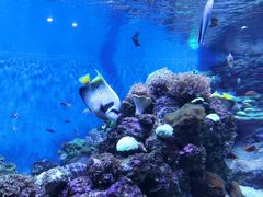 -成都浩海立方海洋公园