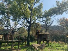-宁波野生动物园