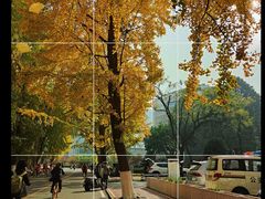 -四川大学(华西校区)