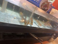 -乡里八闽·福州乡土菜(火车北站店)