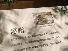 -香市公园-中国沉香文化博物馆