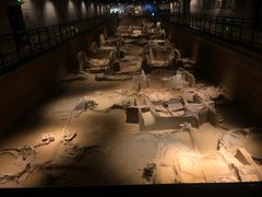 -洛阳周王城天子驾六博物馆