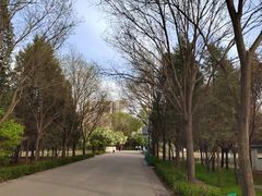 -森林公园(尖草坪区)
