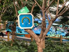 -南宫五洲植物乐园