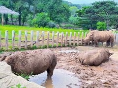 -沈阳森林动物园