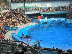 -海合安成都极地海洋公园