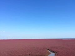 -红海滩国家风景廊道