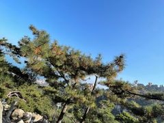 -崂山仰口游览区