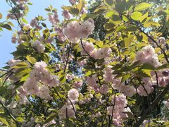 -上海佘山国家森林公园天马山园